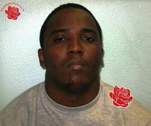 Daniel Elliott – profile image