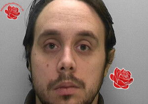 Matthew Cook – profile image
