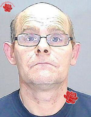 Paul Reed – profile image