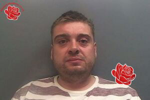 Stuart Bebe – profile image