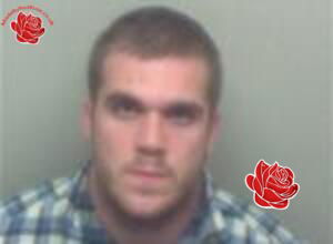 Curtis Davies, – profile image
