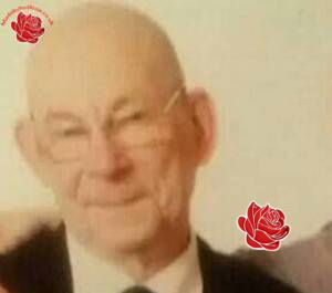 Noel Lowry – profile image