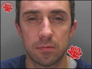 James Walmsley – profile image