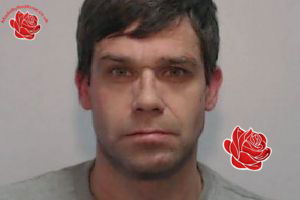 Michael Shaw – profile image