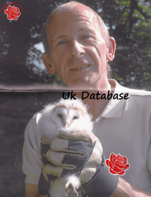 Hans O’Brien – profile image