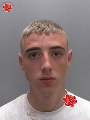 Connor Bradley – profile image