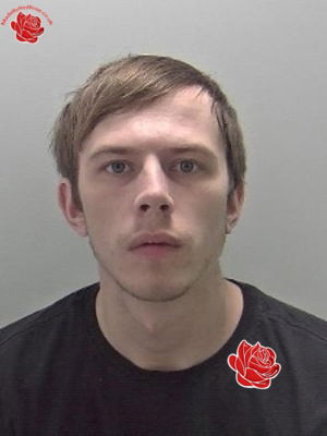 Toby Rogers – profile image