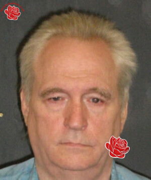 Allan Pettinger – profile image