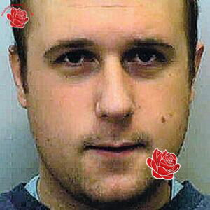 Alexander Dolphin – profile image