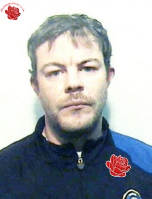 David Perry – profile image