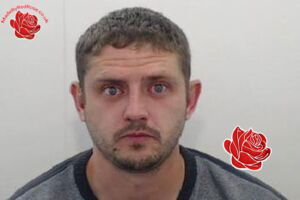Simon Hay – profile image