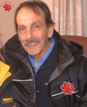 Noah Walsh – profile image