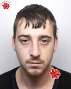 Aaron Abbott – profile image