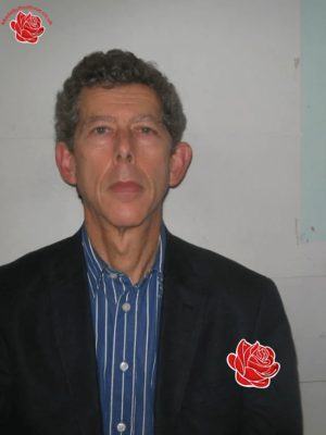 David Lowe – profile image