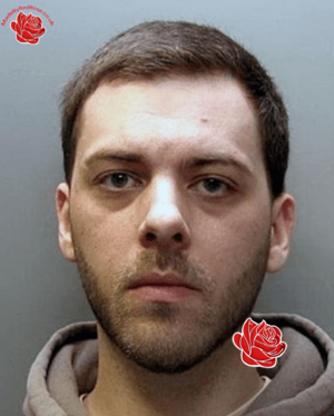 Thomas Williams – profile image