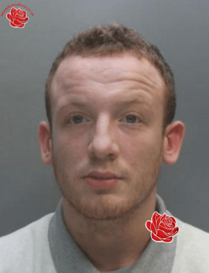 Sean Cottrell – profile image