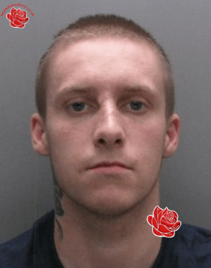 Shaun Curbison – profile image