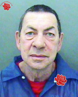 Paul Evans – profile image