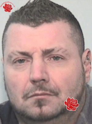 David Whatmore – profile image