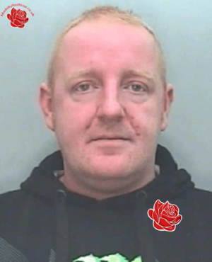 Steven Allan – profile image