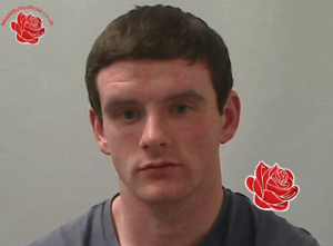 Wanted: Niall O’Brien – profile image
