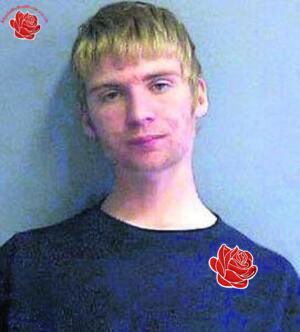 Dalton Joyce – profile image