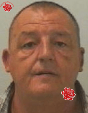 Alan Norster – profile image