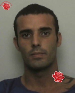 Liam Hargreaves – profile image