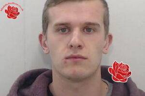Cameron Wassall – profile image