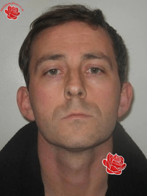 Gary Pearce – profile image