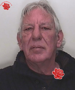 Peter Bell – profile image