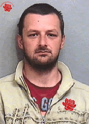 Simon Collier – profile image