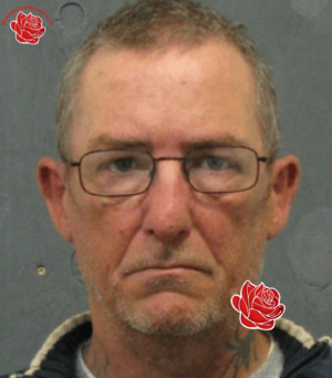 Stephen Bower – profile image