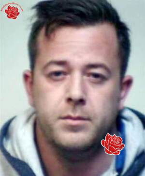 Ross Conlin – profile image