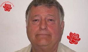 Stephen Salmon – profile image