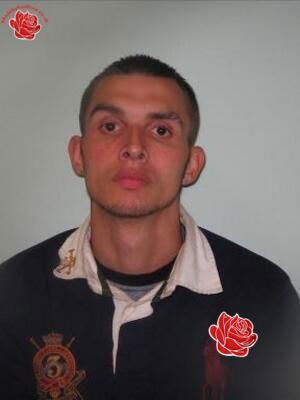 Kyle Nash – profile image