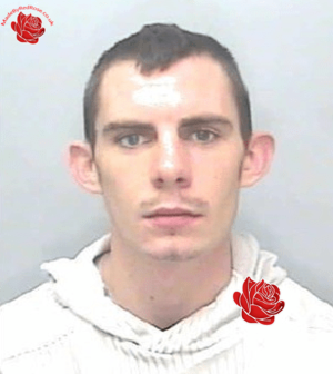 Sam Prowse – profile image