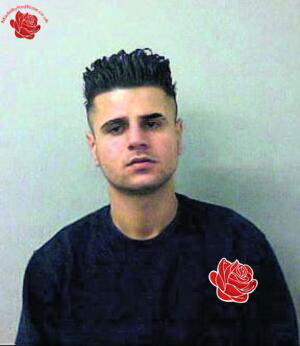 Omid Ali – profile image