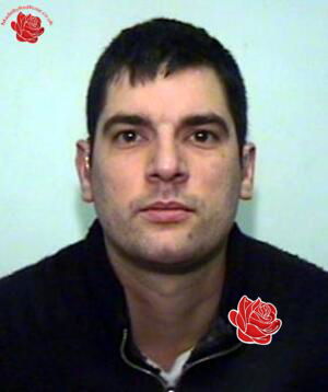 Daniel Simonetti – profile image