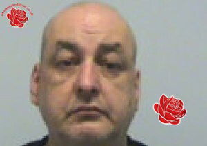 Stephen Reade – profile image