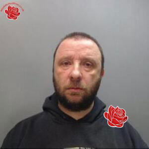 Paul Evans – profile image