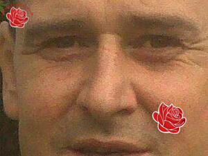 Daren Carl – profile image