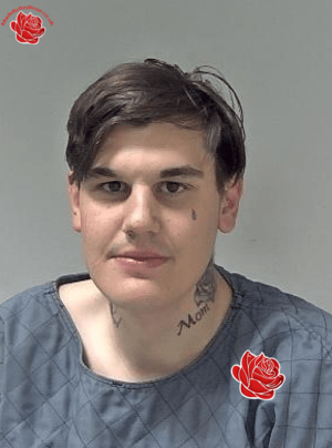 Oliver Fearnall – profile image