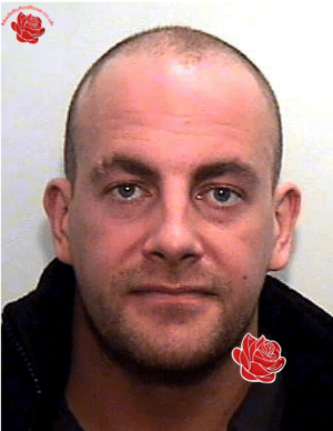 Peter Britain – profile image
