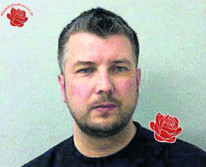 Mark Knight – profile image