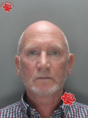 John Harris – profile image