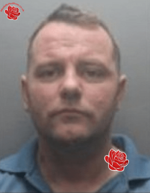 Ian McDonald – profile image