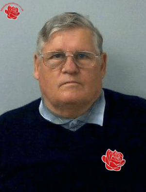 Terry Haynes – profile image