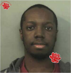 Gabriel May – profile image