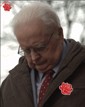 Peter Halliwell – profile image